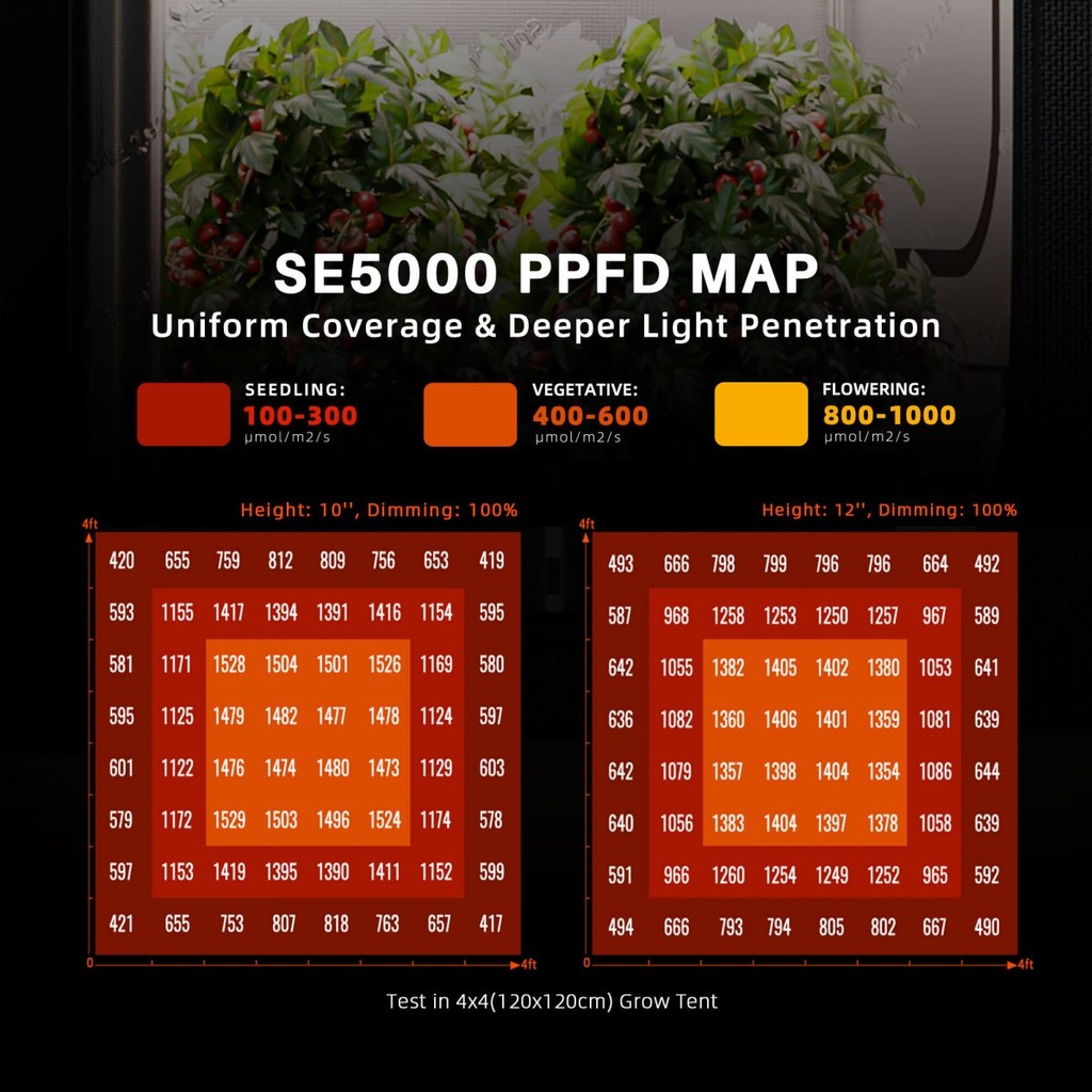 SE5000-EVO-PPFD-MAP-120x120cm-1200x1200.jpg