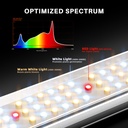 NEW-SE5000-Spectrum-Ration-1200x1200.jpg