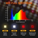 SF%E7%81%AF%E9%80%9A%E7%94%A8-1200x1200.jpg