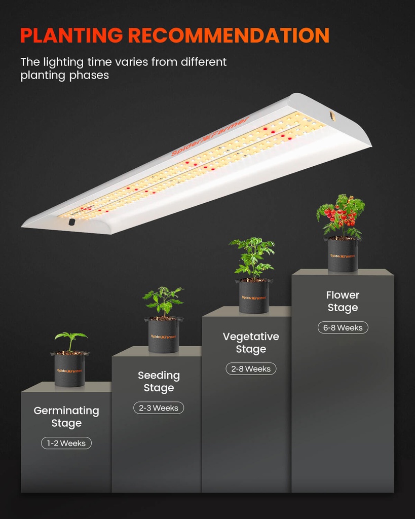 SF300-growing-tips.jpg