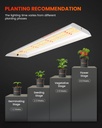 SF300-growing-tips.jpg