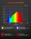 SF-garden-light-PPFD.jpg