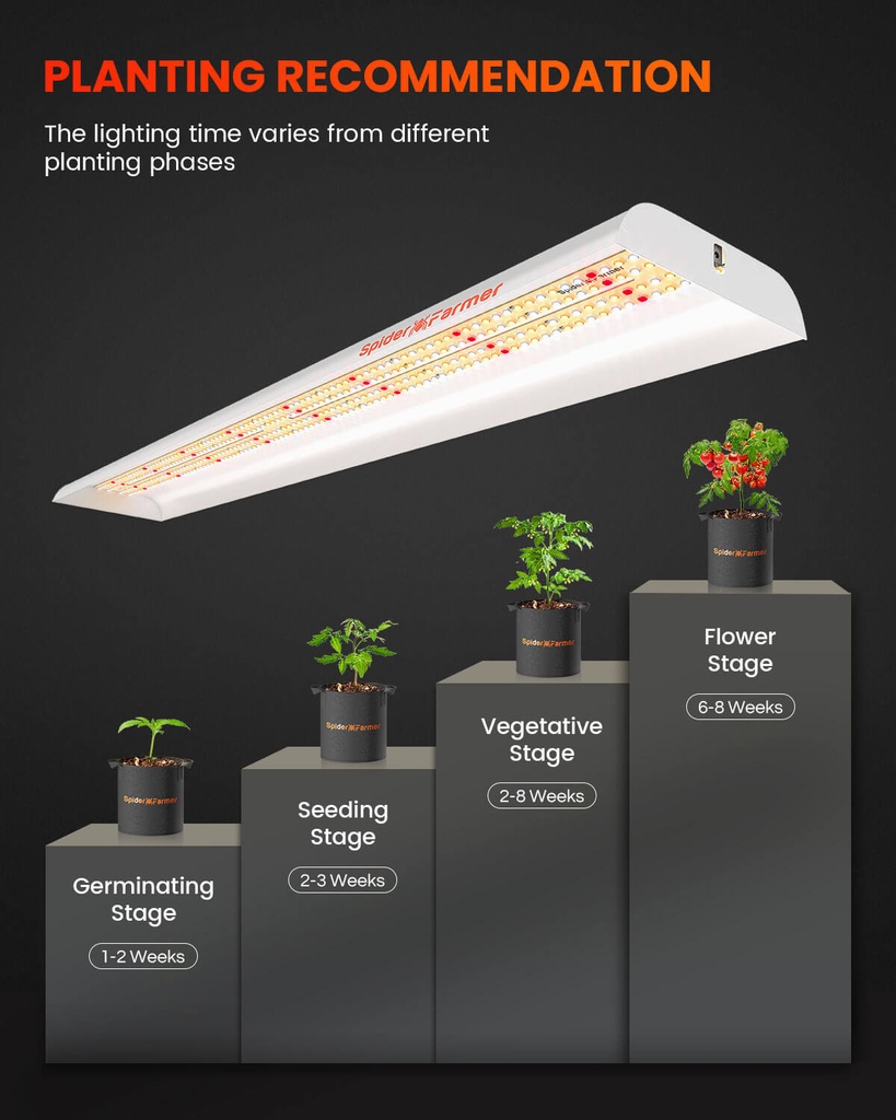 SF600-growing-tips.jpg