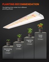 SF600-growing-tips.jpg