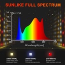 5-1-1200x1200.jpg