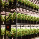 2024-Newest-Version-Spider-Farmer-Dimmable-Foldable-Full-Spectrum-730W-Led-Grow-Light-G-Series-G7000_12-1200x1200.jpg