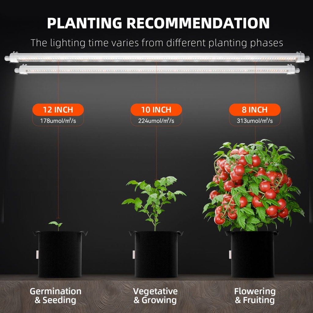 Glow80planting-recommendation-1200x1200.jpg