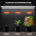 Glow80planting-recommendation-1200x1200.jpg