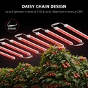 SF-Glowr80-daisy-chain-design-1200x1200.jpg