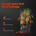 Spider-Farmer-11-gallon-grow-bag-3-1200x1200.jpg