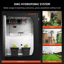 SF-DWC-7-1200x1200.jpg