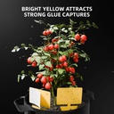Spider-Farmer-Plant-Grow-Tools-Kit_Yellow-Sticky-Bug-Traps-1200x1200.jpg
