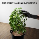 Spider-Farmer-Plant-Grow-Tools-Kit_Gardening-Gloves-1200x1200.jpg