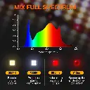 SF灯通用.webp