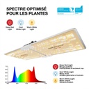 Spider-Farmer-sf2000-200W-Full-Spectrum-led-grow-light-1200x1200.jpg