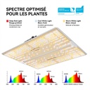 Spider-Farmer-sf4000-480W-Full-Spectrum-led-grow-light-1200x1200.jpg