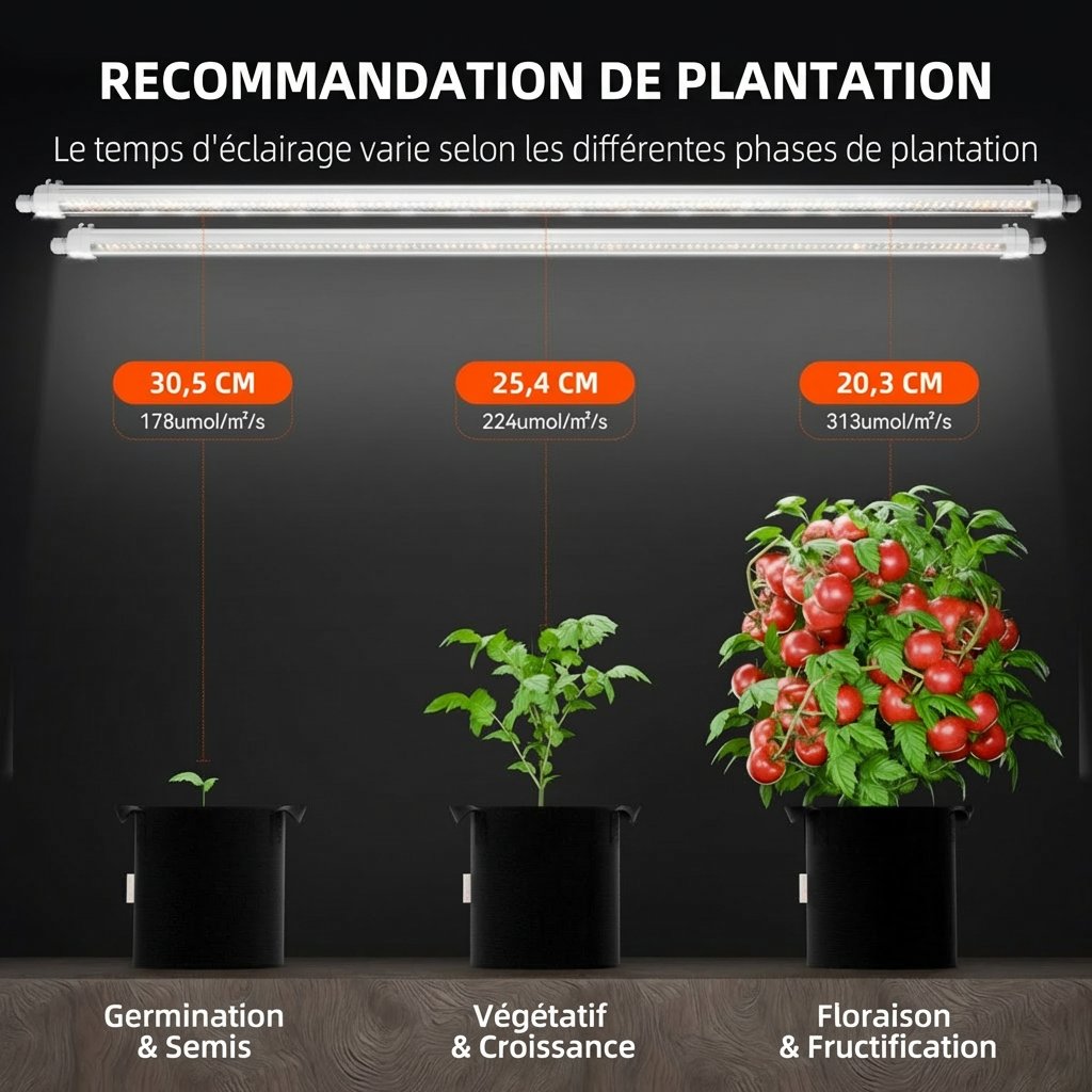 Glow80planting-recommendation-1200x1200.jpg