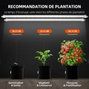 Glow80planting-recommendation-1200x1200.jpg