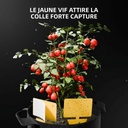 Spider-Farmer-Plant-Grow-Tools-Kit_Yellow-Sticky-Bug-Traps-1200x1200.jpg