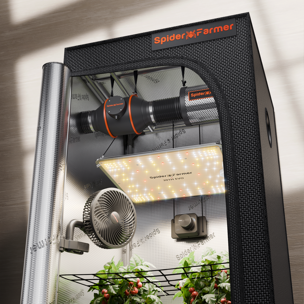 Spider Farmer Kit SF1000 EVO — Tente 60×60cm + LED