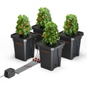 Spider Farmer - Système de culture hydroponique DWC avec kit d'égouttement supérieur, culture en eau profonde de 7 gallons avec pompe à air 15 W, 4 seaux