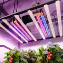 Spider Farmer - Prix ​​garanti 420 Le plus récent ensemble de barres lumineuses de croissance LED UV30 et IR16 (23,6") - Supplément UV et infrarouge amélioré pour les plantes